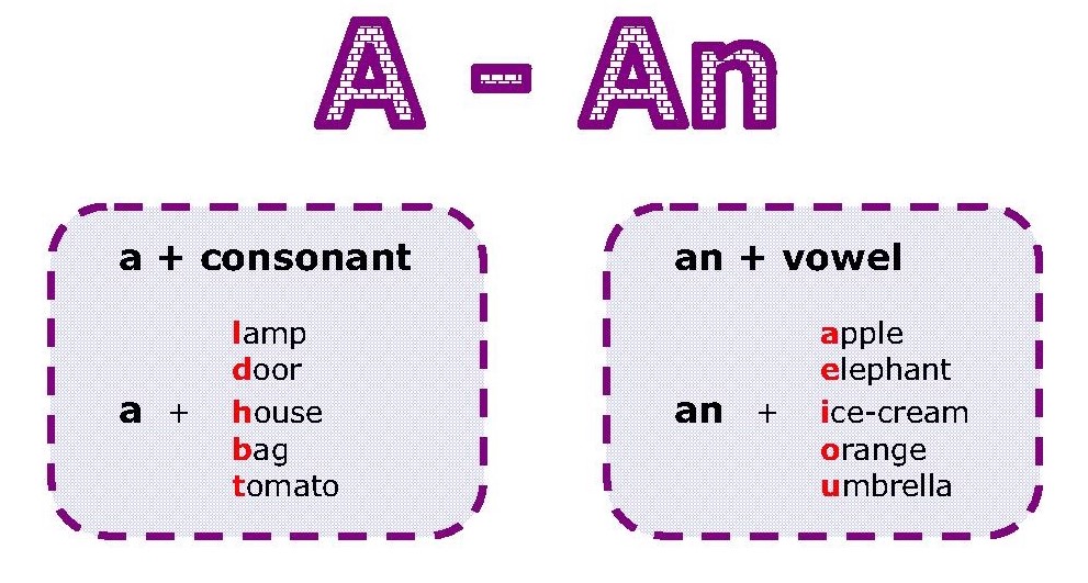 آموزش استفاده از حروف تعریف نامعین a و an قبل از اسم در زبان انگلیسی