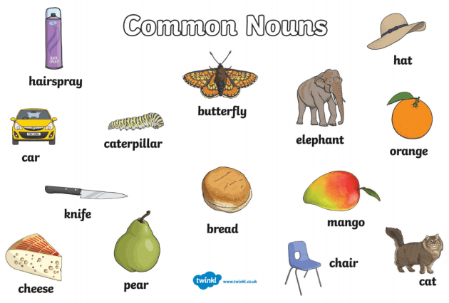  اسم عام یا ‏ common noun در زبان انگلیسی 