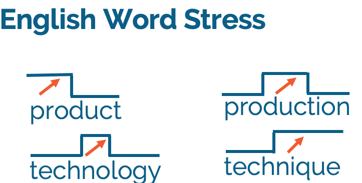 چگونه استرس یا تکیه در کلمات انگلیسی را تشخیص دهیم؟